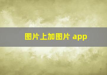 图片上加图片 app